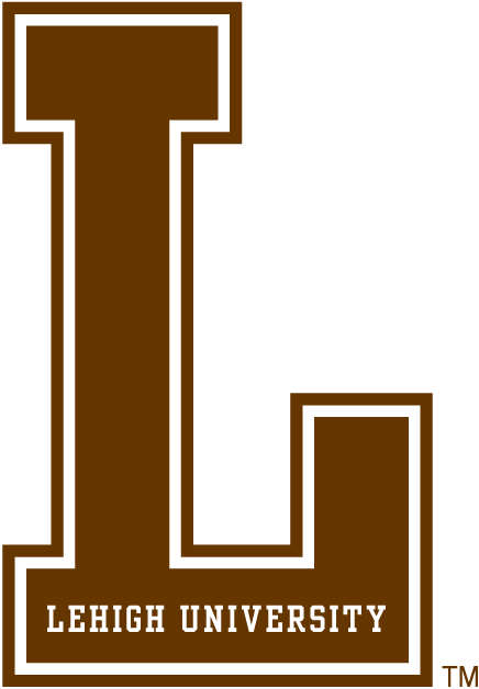 Lehigh Mountain Hawks 0-Pres Alternate Logo v2 diy fabric transfer